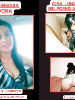 ESIBIZIONI DI PORCHE QUALUNQUE