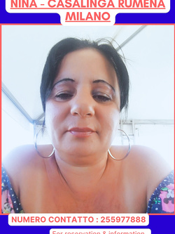 ESIBIZIONI DI PORCHE QUALUNQUE