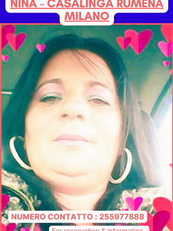 ESIBIZIONI DI PORCHE QUALUNQUE