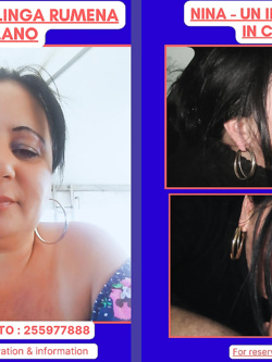 ESIBIZIONI DI PORCHE QUALUNQUE