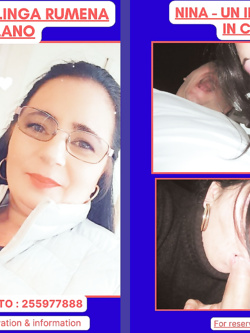 ESIBIZIONI DI PORCHE QUALUNQUE