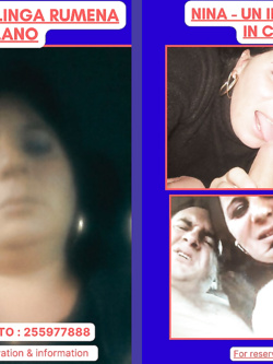 ESIBIZIONI DI PORCHE QUALUNQUE