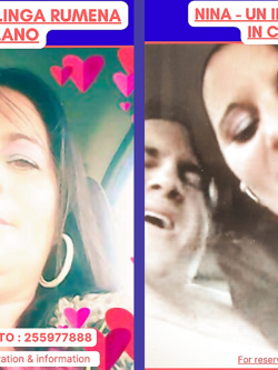 ESIBIZIONI DI PORCHE QUALUNQUE