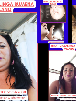 ESIBIZIONI DI PORCHE QUALUNQUE