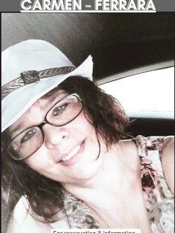 ESIBIZIONI DI PORCHE QUALUNQUE