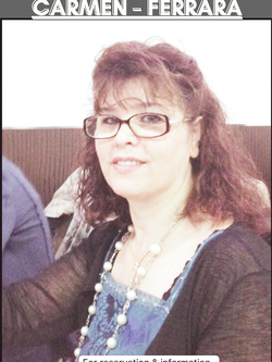 ESIBIZIONI DI PORCHE QUALUNQUE