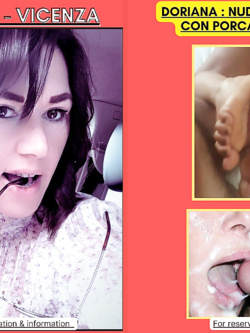 ESIBIZIONI DI PORCHE QUALUNQUE