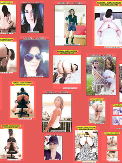 ESIBIZIONI DI PORCHE QUALUNQUE