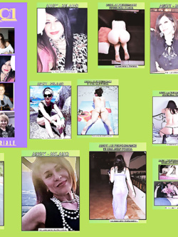 ESIBIZIONI DI PORCHE QUALUNQUE