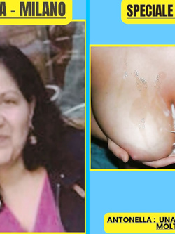 ESIBIZIONI DI PORCHE QUALUNQUE