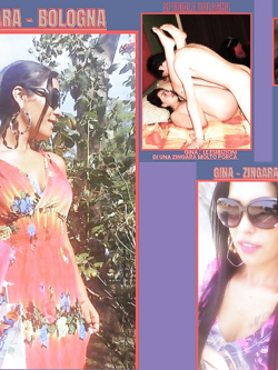 ESIBIZIONI DI PORCHE QUALUNQUE