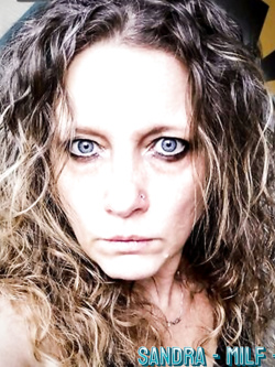 PORCHE DI TUTTI I GIORNI