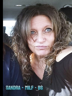 PORCHE DI TUTTI I GIORNI