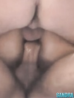 PORCHE DI TUTTI I GIORNI