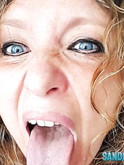 PORCHE DI TUTTI I GIORNI