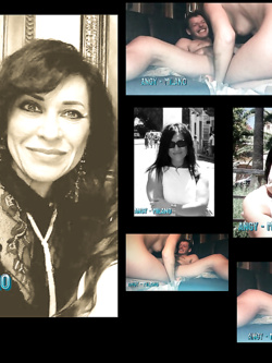 PORCHE DI TUTTI I GIORNI