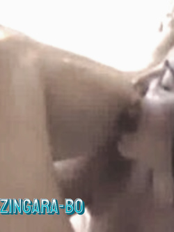 PORCHE DI TUTTI I GIORNI