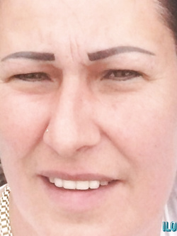 PORCHE DI TUTTI I GIORNI