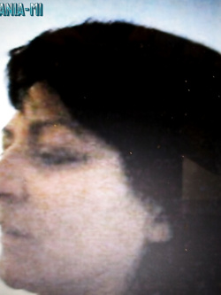 PORCHE DI TUTTI I GIORNI