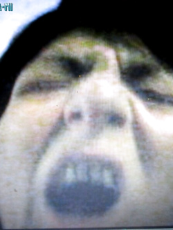 PORCHE DI TUTTI I GIORNI