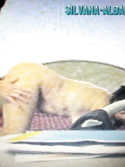 PORCHE DI TUTTI I GIORNI