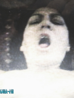 PORCHE DI TUTTI I GIORNI