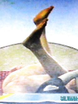 PORCHE DI TUTTI I GIORNI