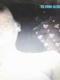 PORCHE DI TUTTI I GIORNI