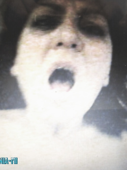 PORCHE DI TUTTI I GIORNI