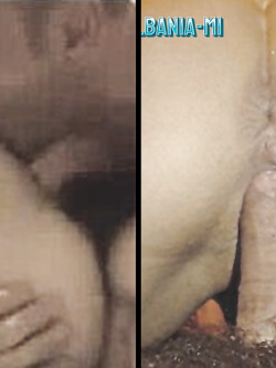 PORCHE DI TUTTI I GIORNI