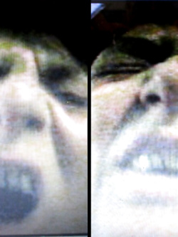 PORCHE DI TUTTI I GIORNI