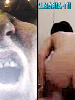 PORCHE DI TUTTI I GIORNI