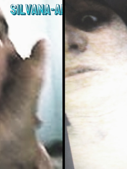 PORCHE DI TUTTI I GIORNI