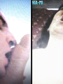 PORCHE DI TUTTI I GIORNI