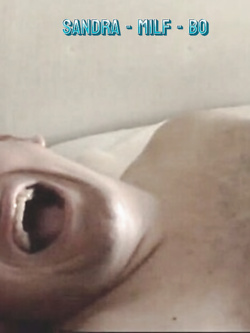 PORCHE DI TUTTI I GIORNI