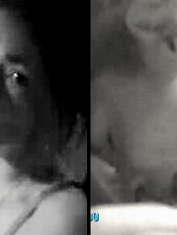 PORCHE DI TUTTI I GIORNI