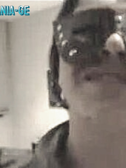 PORCHE DI TUTTI I GIORNI