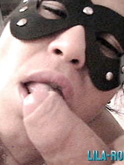 PORCHE DI TUTTI I GIORNI