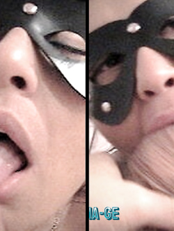 PORCHE DI TUTTI I GIORNI