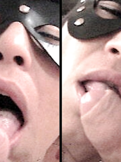 PORCHE DI TUTTI I GIORNI