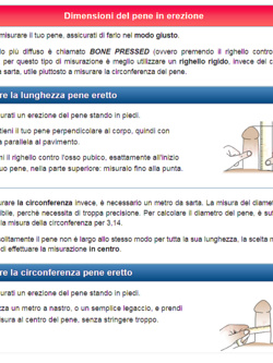 Scheda di candidatura
