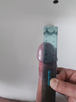 Scheda di candidatura