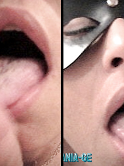 LILA -  PORCELLA DI GENOVA