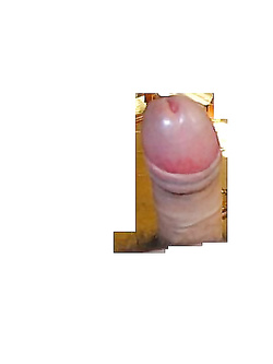 Il mio amico..............