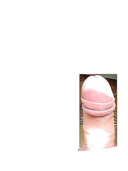 Il mio amico..............