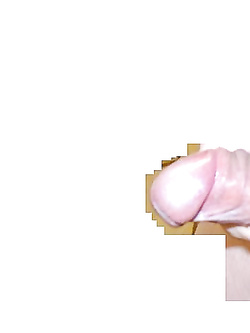 Il mio amico..............