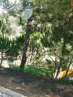 Vacanza naturista con la mia puttana polacca